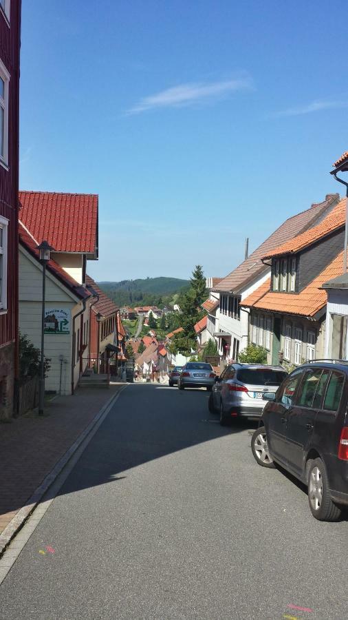 Koenig'S Wohnung Sankt Andreasberg Bagian luar foto